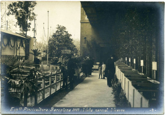 postal piscicultura